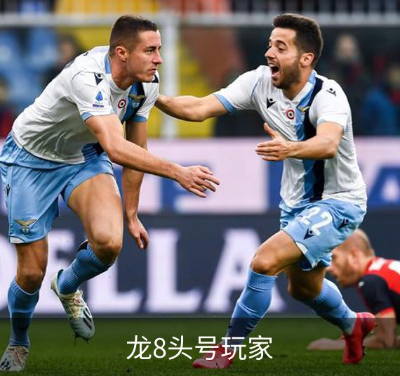 龙8头号玩家介绍